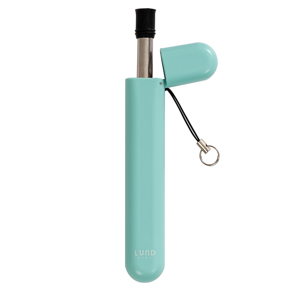 Mint -Kit Palha Reutilizável de Viagem
