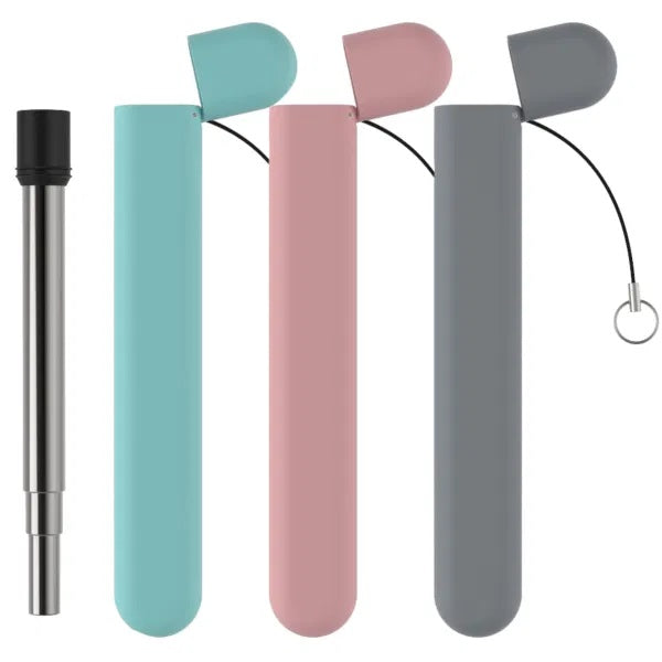 Mint -Kit Palha Reutilizável de Viagem