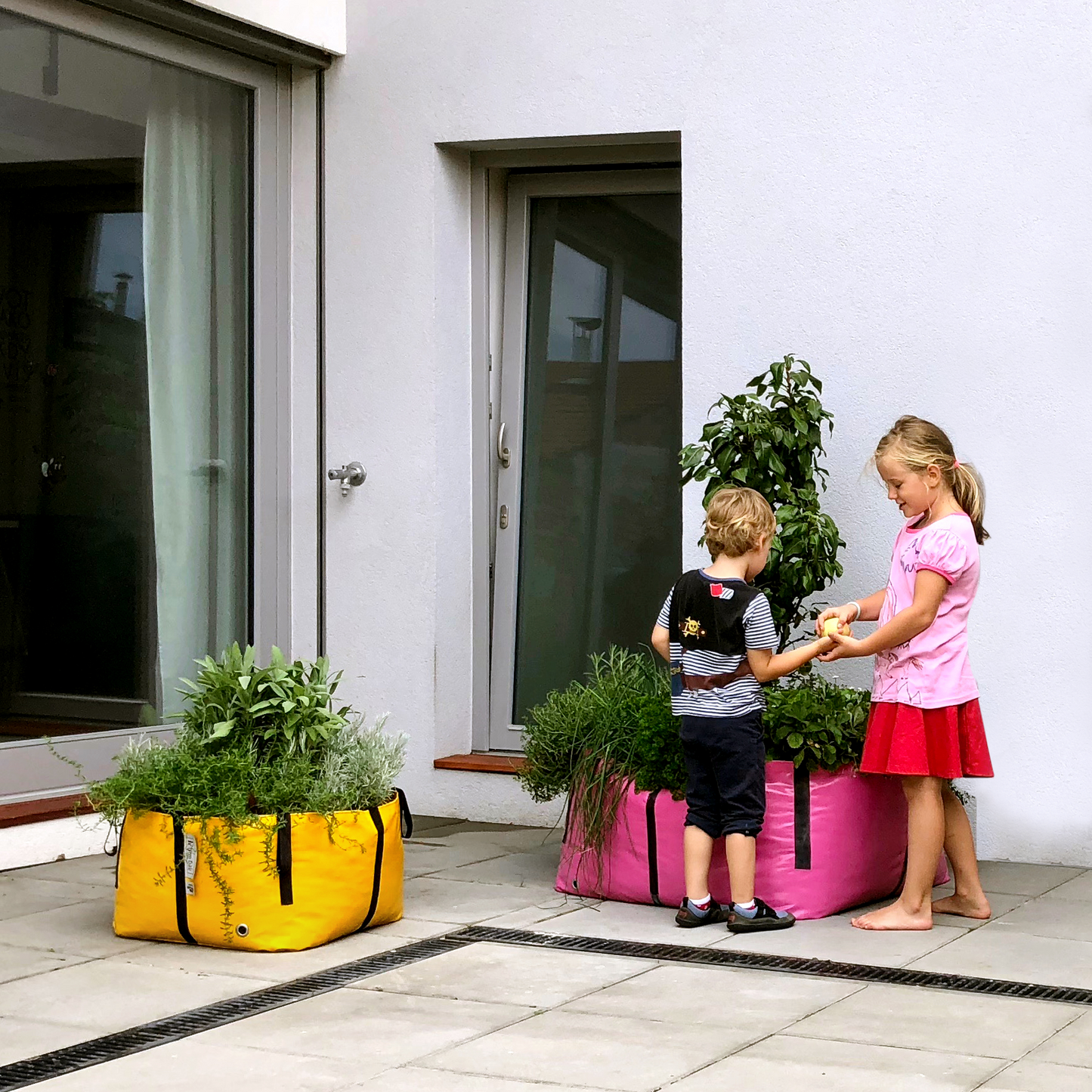 The Green Bag - Horta Urbana - Tamanho XL