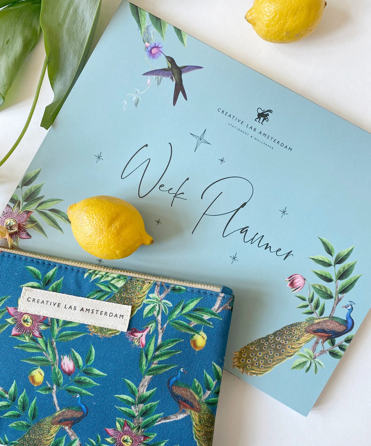 Bolsa ou Estojo - Pouche Flat Passion Peacock