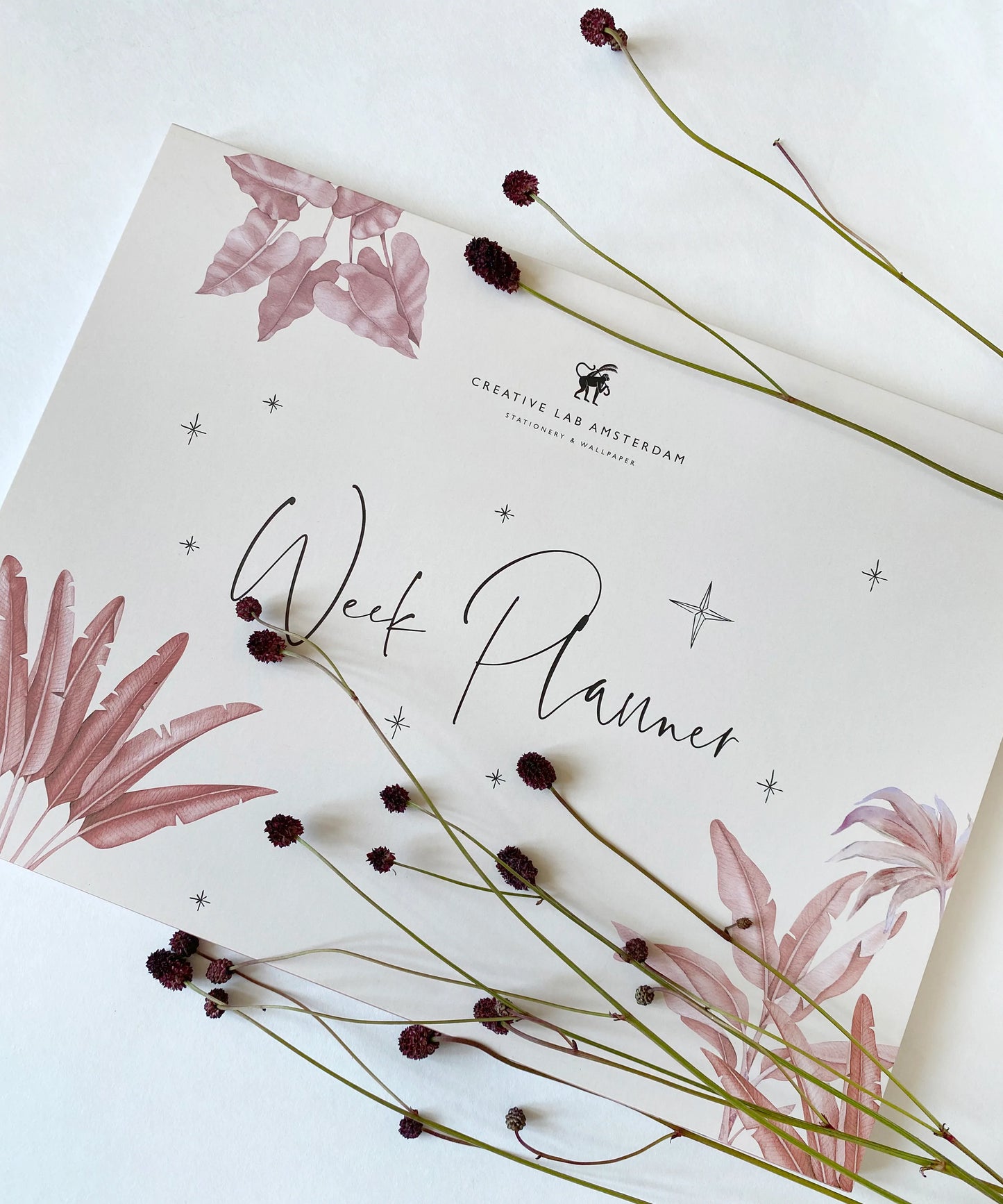 Weekplanner - Agenda Semanal de Secretária Terra Leaves