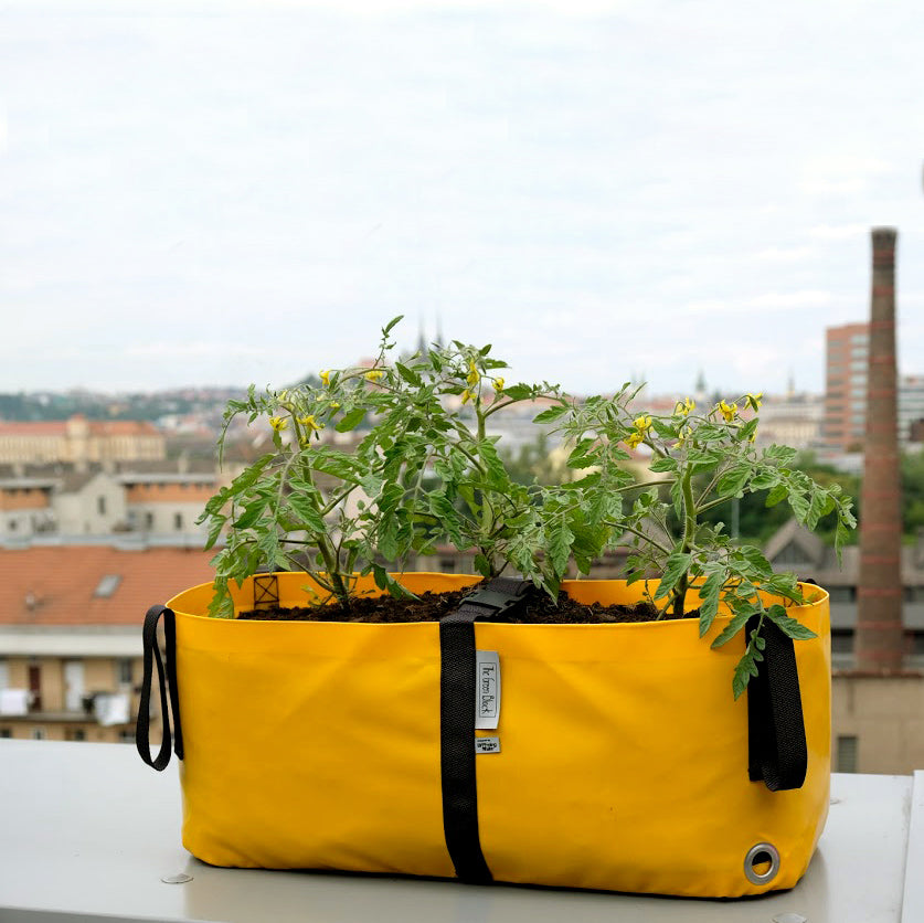 The Green Block - Horta Urbana - Tamanho M
