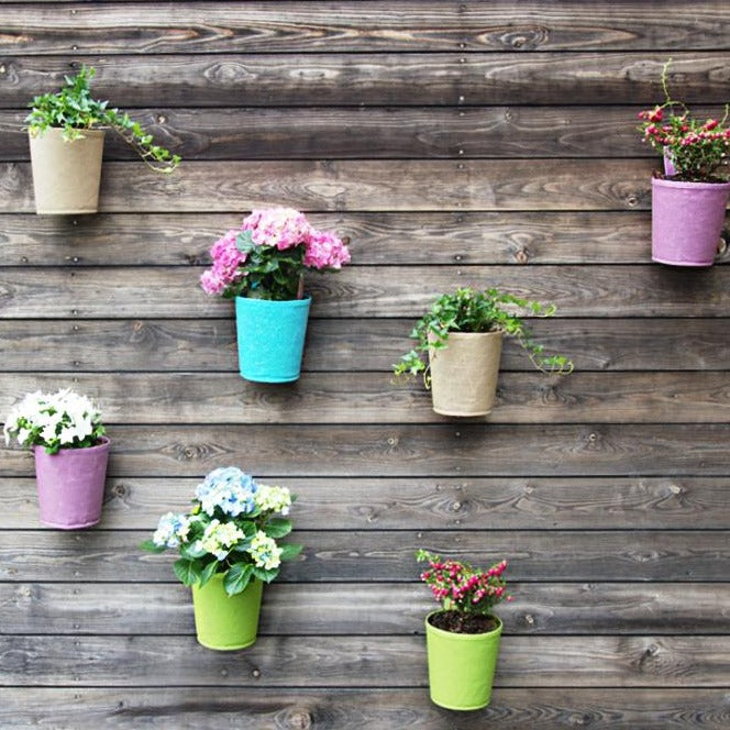 The Green Pots - Vaso