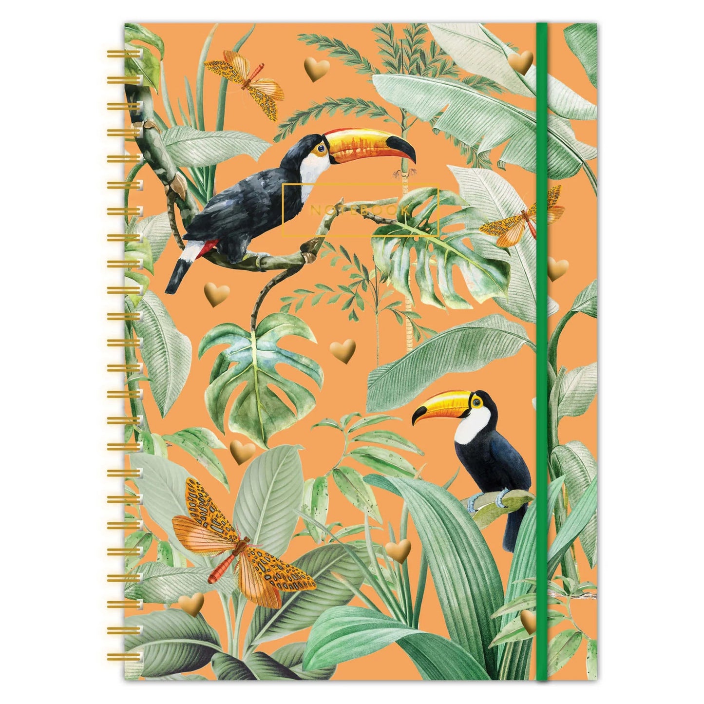 Caderno Notebook A4 Argolas Flirting Toucans