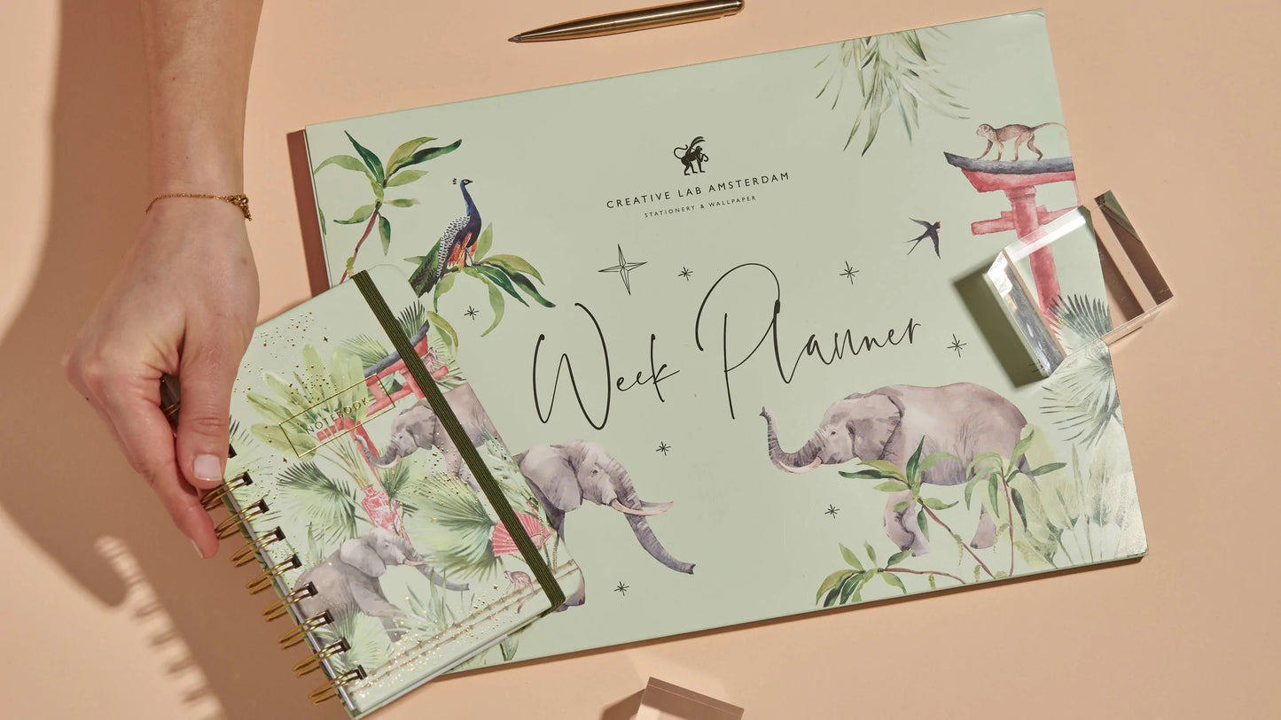 Caderno Notebook A6 Argolas Rituals Elephant