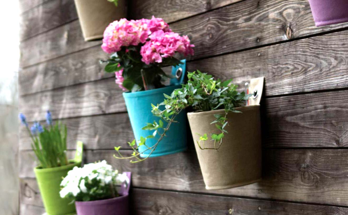 The Green Pots - Vaso