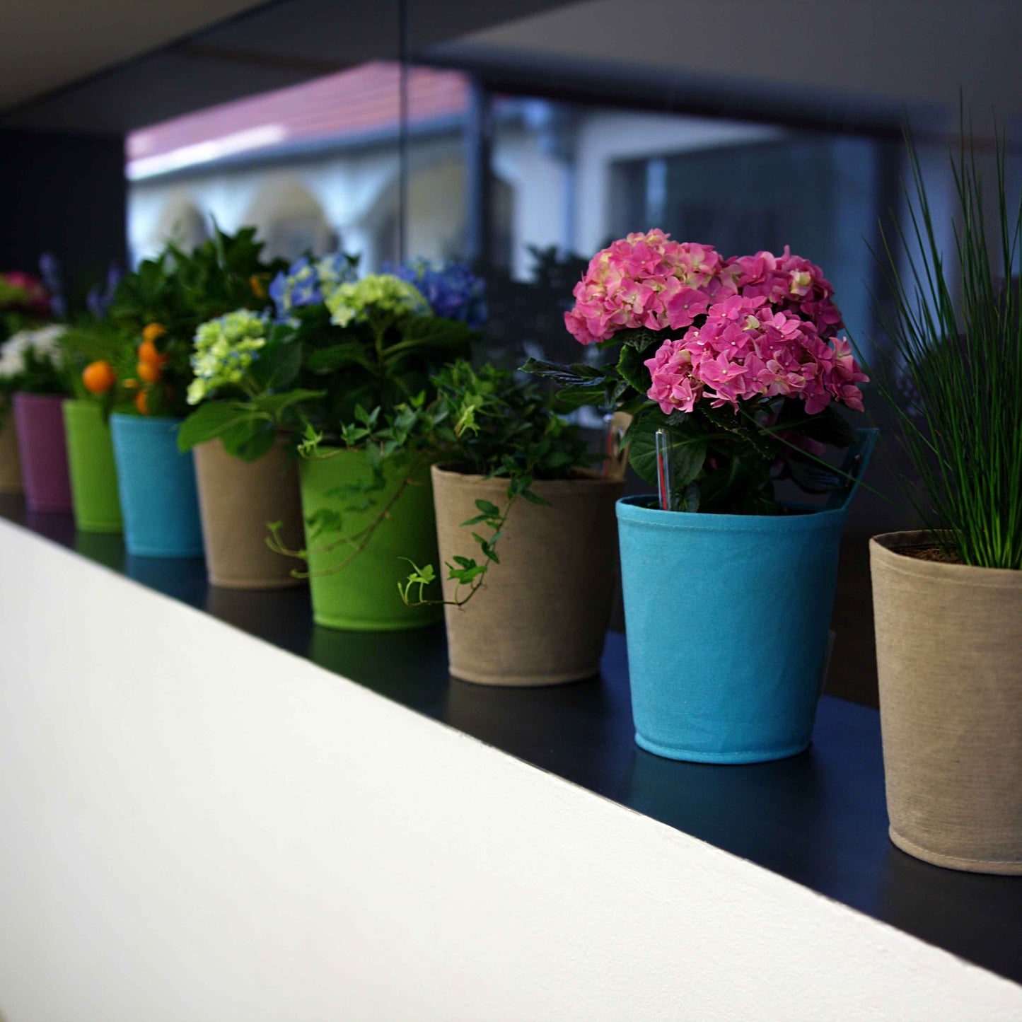 The Green Pots - Vaso