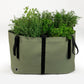 The Green Bag - Horta Urbana - Tamanho L
