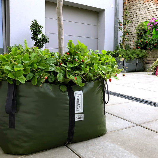 The Green Bag - Horta Urbana - Tamanho XL